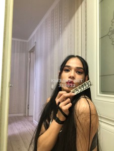 Транс Тараза Транс№339932 Царица Фотография №2654504