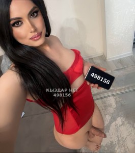 Транс Алматы Транс№498156 Nihan-Приват канал Фотография №3754447