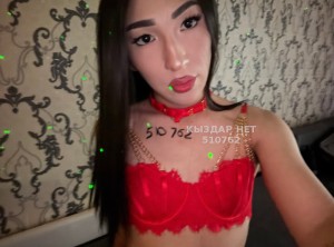 Транс Алматы Анкета №510762 Фотография №3820098