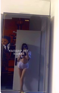 Проститутка Алматы Девушка№512483 Айдана Фотография №3838214