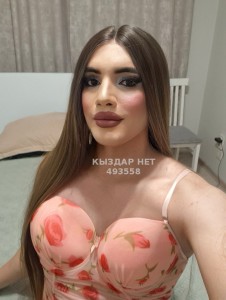 Транс Астаны Транс№493558 Асу Фотография №3852275