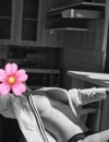 Фотография №3854321