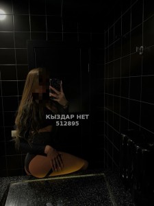 Проститутка Петропавловска Анкета №512895 Фотография №3882225