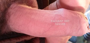 Жиголо Петропавловска Парень№521188 Eks11988 Фотография №3888978