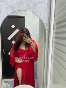 Проститутка Шу Анкета №265829 Фотография №3946711