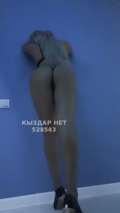 Проститутка Алматы Анкета №528543 Фотография №3959650